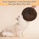 KONOATOR Magic Organ Cat Scratcher Toy with 2 Bell Balls Interactive Transformable Cat Scratching Board Foldable Corrugated Cardboard Track Toy for Indoor Cats Kittens