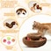 VZZNN 2 Pack Magic Organ Cat Toy Foldable Magic Organ Cat Scratching Board Reversible Infinity Style Magic Organ Cat Toy with 4 PCS Ball Cat Toys Interactive Indoor Cat Toys