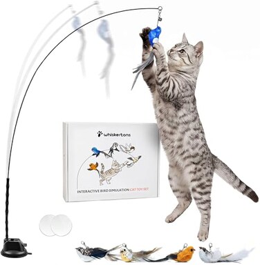 Whiskertons Interactive Bird Simulation Cat Toy Set Interactive Cat Toys for Indoor Cats Cat Feather Toy SelfHolding Suction Base 5 Replacement Birds Feathers Bells Realistic Bird Impression