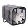 petisfam Soft Pet Carrier Bag for Cats and Puppy Under 20 lbs Sturdy Safe Comfortable and Lightweight