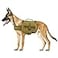 Himal Outdoors Dog Backpack Saddle Bag Tactical Hiking Backpack for Large Dogs with Side Pockets Adjustable Strap