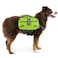 PetAmi Dog Backpack for Medium Large Dogs Saddle Bag for Dogs to Wear for Hiking Pet Backpack Harness Dog Pack with Reflective Side Pockets for Walking Running