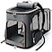 Lekereise Cat Backpack Expandable Pet Carrier Backpack for Small Cats and Dogs AirlineApproved Foldable Dog Carrier Backpack with Inner Safety Leash Grey