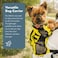 K9 Sport Sack WalkOn XSmall Shark Skin Gray Ideal for Dogs with 912 Back Length Lightweight Packable BackpackStyle Carrier Includes Compatible Harness Storage Bag