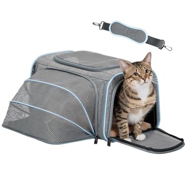 Petsfit Small Cat Carrier Soft Airline Approved Expandable Carrier for Kitten Puppy Bunny 16X10X9