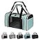 Yipincover Cat Dog Carriers SoftSided Pet Travel Carrier for Small Cats Dogs Under to15lbs SoftSolid Collapsible CarrierMediumGreen