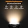 REPTITRIP UVB Light for Reptiles UVB Bulb 5W 100 UVB LED Lamp Reptile Light Bulb Provide Sufficient UVB Exposure for DesertDwelling ReptilesNot Heat Lamp