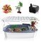VERABE EscapeProof 3 Gallon Turtle Tank Kit for Hatchlings Compact Acrylic Aquarium with Basking Platform Filter MultiZone Desktop Habitat Easy Clean