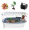 VERABE EscapeProof 3 Gallon Turtle Tank Kit for Hatchlings Compact Acrylic Aquarium with Basking Platform Filter MultiZone Desktop Habitat Easy Clean