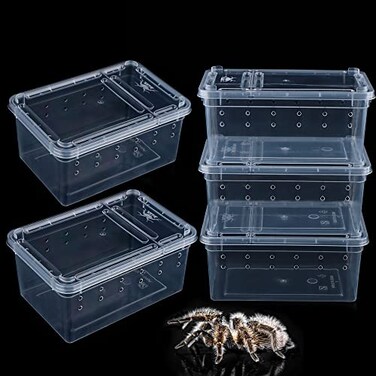 DQITJ 5 Pcs Spider Small Terrariums Breeding Box Transparent Hatching Container Plastic Feeding Box for Small Reptile Spider Scorpion Centipede Insect