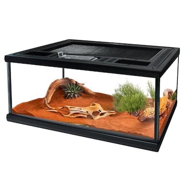 waazoorep Reptile Glass Terrarium Tank 1286Small Cage Full View with Top Screen Ventilation Habitat Enclosure for TarantulaFrogGeckoInsectsSpidersSnakesHermit CrabTurtleBall Python