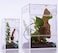 EctoTherm Jumping Spider Enclosure for Habitat Terrarium Kit and Arboreal Tarantula Enclosure