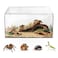 AZV Escape Proof Reptile TerrariumShatter Proof Polycarbonate Tarantula Tank with Magnetic LidVentilated Spider Enclosure360 Clear ViewEasy Clean Habitat for GeckoFrogsInsectsHermit Crabs XL