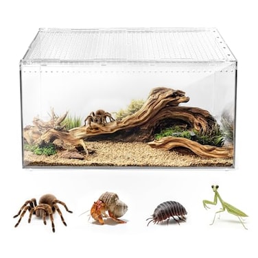 AZV Escape Proof Reptile TerrariumShatter Proof Polycarbonate Tarantula Tank with Magnetic LidVentilated Spider Enclosure360 Clear ViewEasy Clean Habitat for GeckoFrogsInsectsHermit Crabs XL