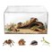 AZV Escape Proof Reptile TerrariumShatter Proof Polycarbonate Tarantula Tank with Magnetic LidVentilated Spider Enclosure360 Clear ViewEasy Clean Habitat for GeckoFrogsInsectsHermit Crabs L
