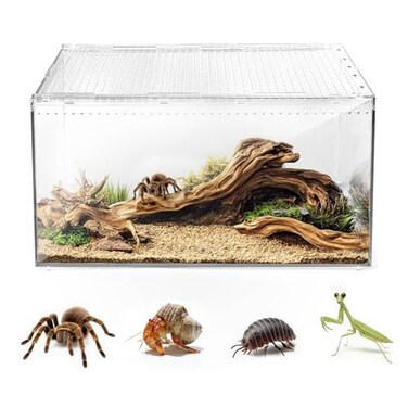 AZV Escape Proof Reptile TerrariumShatter Proof Polycarbonate Tarantula Tank with Magnetic LidVentilated Spider Enclosure360 Clear ViewEasy Clean Habitat for GeckoFrogsInsectsHermit Crabs L