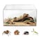 AZV Escape Proof Reptile TerrariumShatter Proof Polycarbonate Tarantula Tank with Magnetic LidVentilated Spider Enclosure360 Clear ViewEasy Clean Habitat for GeckoFrogsInsectsHermit Crabs S