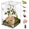 Orekemo Acrylic Reptile Terrarium Easy Assembly 360 Clear Keep Pet Secure Design for Jumping Spiders Tarantulas Geckos ScratchResistant Large Ventilated Habitat Terrarium for Arachnids 1187979in