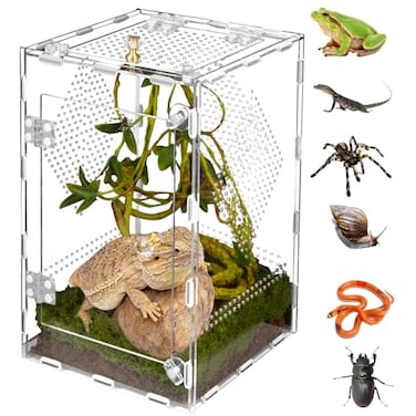 Orekemo Acrylic Reptile Terrarium Easy Assembly 360 Clear Keep Pet Secure Design for Jumping Spiders Tarantulas Geckos ScratchResistant Large Ventilated Habitat Terrarium for Arachnids 1187979in