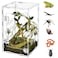 Orekemo Acrylic Reptile Terrarium Easy Assembly 360 Clear Keep Pet Secure Design for Jumping Spiders Tarantulas Geckos ScratchResistant Large Ventilated Habitat Terrarium for Arachnids 985959in