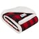 PetAmi Dog Blanket for Small Medium Dogs and Cats Soft Sherpa Fleece Pet Blanket Throw for Puppies Kittens Reversible Plush Couch Cover Protector Sofa Bed Crate Machine Washable 60x40 Checker Red