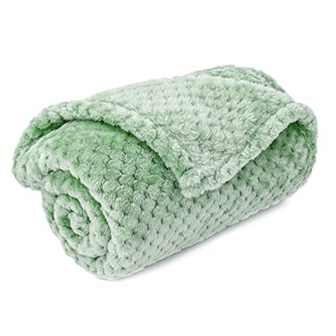 CUTEMATE Warm Soft Fuzzy Dog or Cat Blanket Plush Fleece Throws for Bed Couch Sofa Travel M32 x 40 Mint