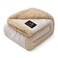 Luciphia Waterproof Pet Blanket Liquid Pee Proof Dog Blankets for Sofa Bed Couch Reversible Sherpa Fleece Furniture Protector Cover for Small Medium Large Dogs CatsBeigeThicken Medium57 x 40