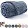 CUTEMATE Warm Soft Fuzzy Dog or Cat Blanket Plush Fleece Throws for Bed Couch Sofa Travel L40 x 48 Blue