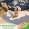 LotuFlor Dog Bed Covers Replacement Washable 100 Waterproof Soft Dog Bed Sheet 2 Pack 36 x 23 S