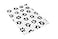 Ezee~Visit Pet Vet Mat EzeeVisit Black and White Dog Paw Print Pet Vet Mat ScaleLift