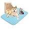 MICROCOSMOS Summer Cooling Mat Sleeping Pad Water Absorption Top Materials Safe Easy Carry EZ Clean Keep Cooling for Pets Kids and AdultsBlue 28 x 22