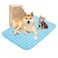 MICROCOSMOS Summer Cooling Mat Sleeping Pad Water Absorption Top Materials Safe Easy Carry EZ Clean Keep Cooling for Pets Kids and AdultsBlue 28 x 22