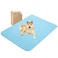 MICROCOSMOS Summer Cooling Mat Sleeping Pad Water Absorption Top Materials Safe Easy Carry EZ Clean Keep Cooling for Pets Kids and AdultsBlue 59 x 40