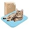 MICROCOSMOS Summer Cooling Mat Sleeping Pad Water Absorption Top Materials Safe Easy Carry EZ Clean Keep Cooling for Pets Kids and AdultsBlue 19 x 15