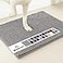 Muddy Mat Super Absorbent Door Mat Indoor Microfiber Quick Dry Chenille Entryway Rug NonSlip Front Door Mat Indoor Mats for Entryway Machine Washable Pet Rug Grey 30x19