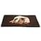 PETMAKER Self Warming Cat Mat 36x24in Thermal Dog Crate Pad with Removable Washable Sherpa Cover and Reflective Insulation Layer for Self Heating Pet Supplies for Medium Dogs and Cats by Brown