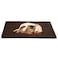 PETMAKER Self Warming Cat Mat 36x24in Thermal Dog Crate Pad with Removable Washable Sherpa Cover and Reflective Insulation Layer for Self Heating Pet Supplies for Medium Dogs and Cats by Brown