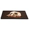 PETMAKER Self Warming Cat Mat 36x24in Thermal Dog Crate Pad with Removable Washable Sherpa Cover and Reflective Insulation Layer for Self Heating Pet Supplies for Medium Dogs and Cats by Brown