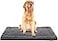 Exsnugy Washable Dog Bed Mat Ultra Soft Dog Crate Pad Comfy Fluffy Pet Kennel Beds Sleeping Mattress for Large Jumbo Medium Small Dogs Grey