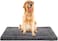 Exsnugy Washable Dog Bed Mat Ultra Soft Dog Crate Pad Comfy Fluffy Pet Kennel Beds Sleeping Mattress for Large Jumbo Medium Small Dogs Grey