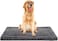 Exsnugy Washable Dog Bed Mat Ultra Soft Dog Crate Pad Comfy Fluffy Pet Kennel Beds Sleeping Mattress for Large Jumbo Medium Small Dogs Grey