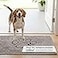 Dog Gone Smart Dirty Dog Doormat Fast Drying Rug with Super Gripper Backing for Clean Floors Super Absorbent and Machine Washable Mat for Muddy Paws Grey