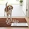 Dog Gone Smart Dirty Dog Doormat Fast Drying Rug with Super Gripper Backing for Clean Floors Super Absorbent and Machine Washable Mat for Muddy Paws Almond
