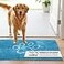 Dog Gone Smart Dirty Dog Doormat Fast Drying Rug with Super Gripper Backing for Clean Floors Super Absorbent and Machine Washable Mat for Muddy Paws Aqua