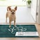Dog Gone Smart Dirty Dog Doormat Fast Drying Rug with Super Gripper Backing for Clean Floors Super Absorbent and Machine Washable Mat for Muddy Paws Petrol