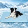 SOMOYA Cooling Mat for Dogs QMax045 Pet Cooling Pads Blanket Sleeping Kennel MatWashable Ice Silk Sleep Mat Pad Breathable for Large Dogs Cats Medium
