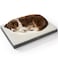 Bedsure Dog Beds Large Sized Dog Comfy Flat Pet Beds with Removable Washable Cover Orthopedic Egg Crate Foam Puppy Mat Suitable for Pet Up to 65 lbs