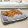 WINDRACING Large Dog Bed with Pillow for Crate Kennel Sofa Dog Bed Super Soft pet Bed for Medium Jumbo Furniture