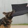MABOZOO Indestructible Dog Bed Chew Proof Crate Pad Machine Washable Quilted Mat for Aggressive Chewers Durable for Medium Dogs Black Kennel Pad 22x35 in
