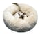 BODISEINT Modern Soft Plush Round Pet Bed for Cats or Small Dogs Mini Medium Sized Dog Cat Bed Self Warming Autumn Winter Indoor Snooze Sleeping Cozy Kitty Teddy Kennel 24 D x 8 H Champagne